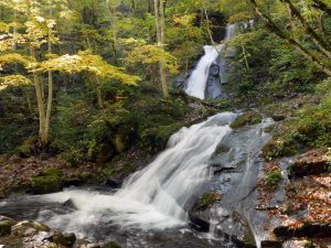 宇津江四十八滝(県立自然公園）